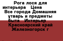 Рога лося для интерьера › Цена ­ 3 300 - Все города Домашняя утварь и предметы быта » Интерьер   . Красноярский край,Железногорск г.